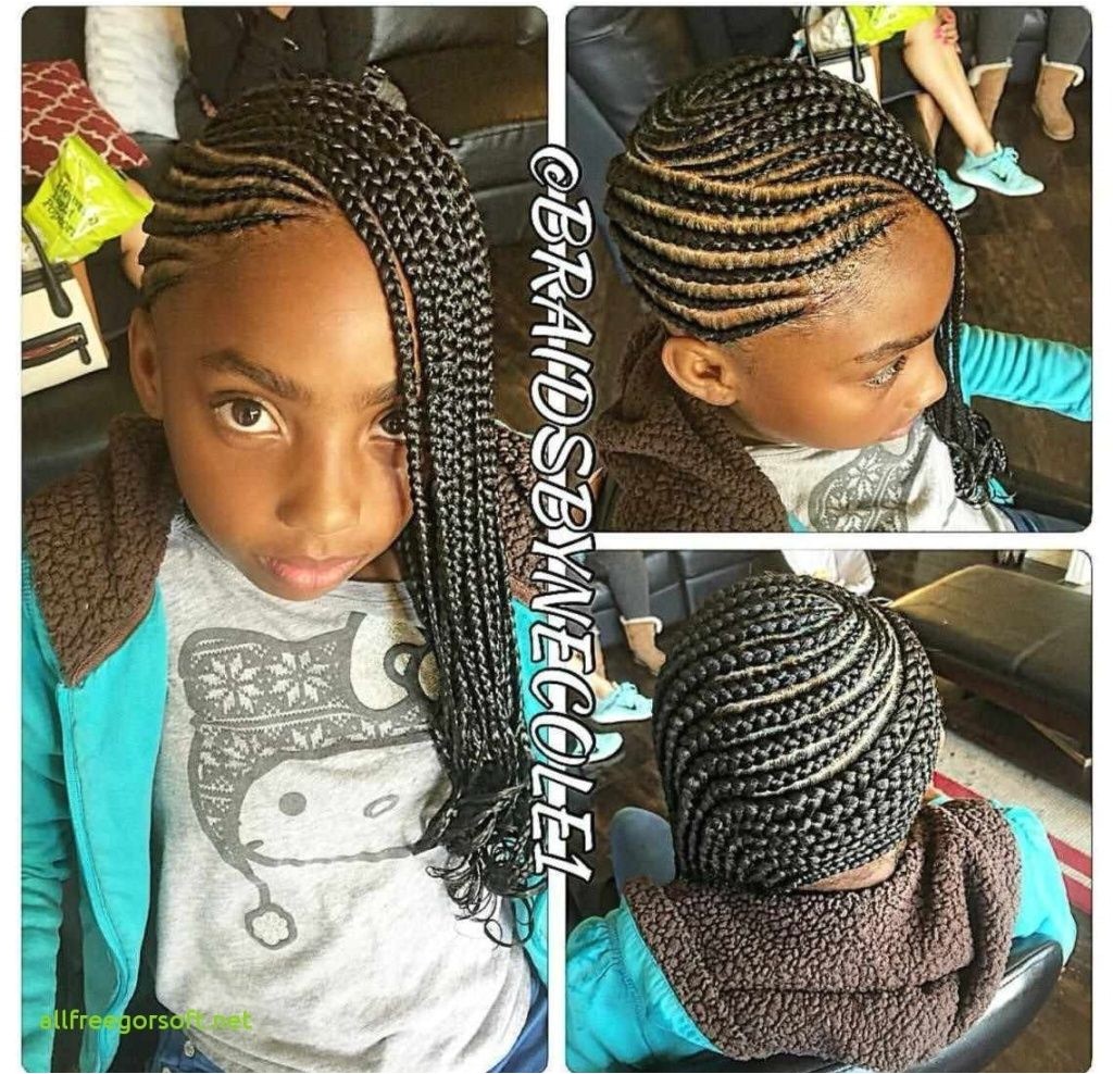 24 Unique Black Hairstyles With Braids Black Little Girl
