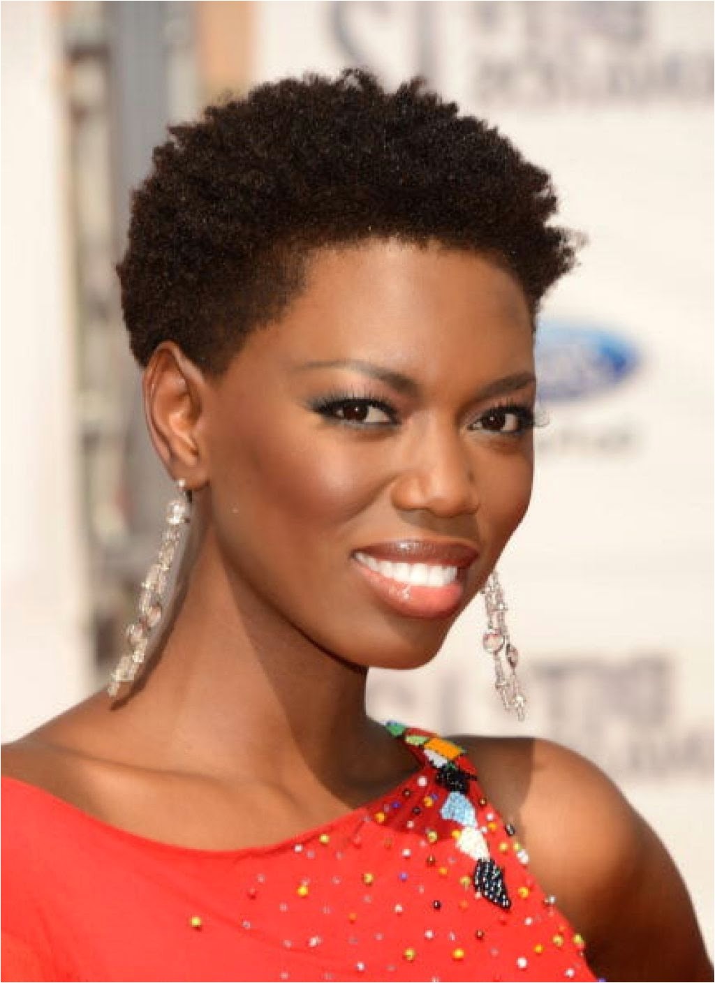 black women short afro hairstyles