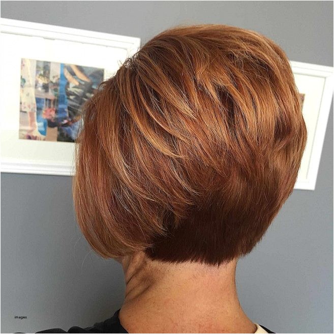 inverted bob hairstyles 2018 back view
