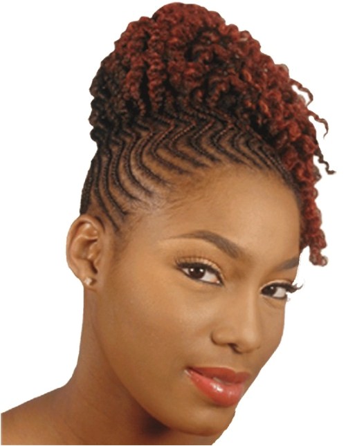 55 superb black braided hairstyles that allure your looks and turn heads