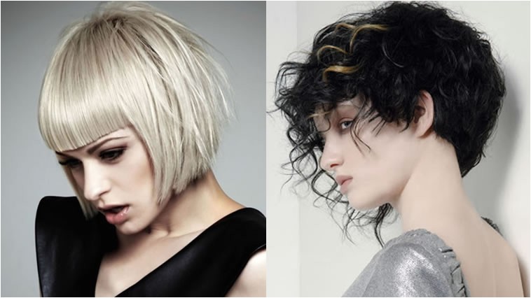 long to short bob haircut story