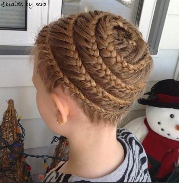 the spiral braid images and video