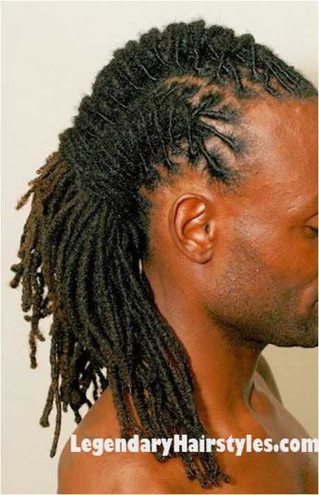 dreadlocks braided hairstyles