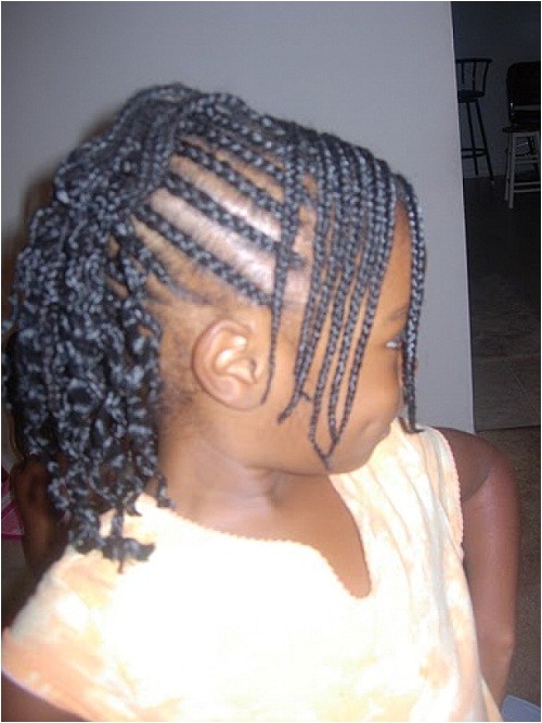 cute hairstyles with braids for little black girls