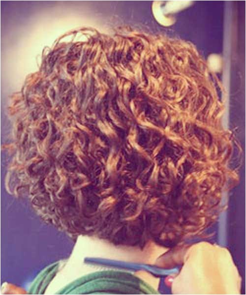 15 easy hairstyles for short curly hair