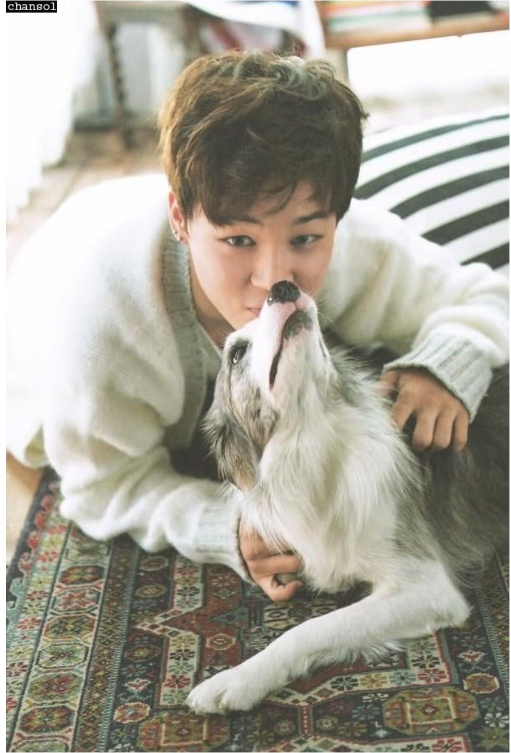 BTS jimin photoshoot BTS Mochi Cute Chimchim Puppy InfiresMan