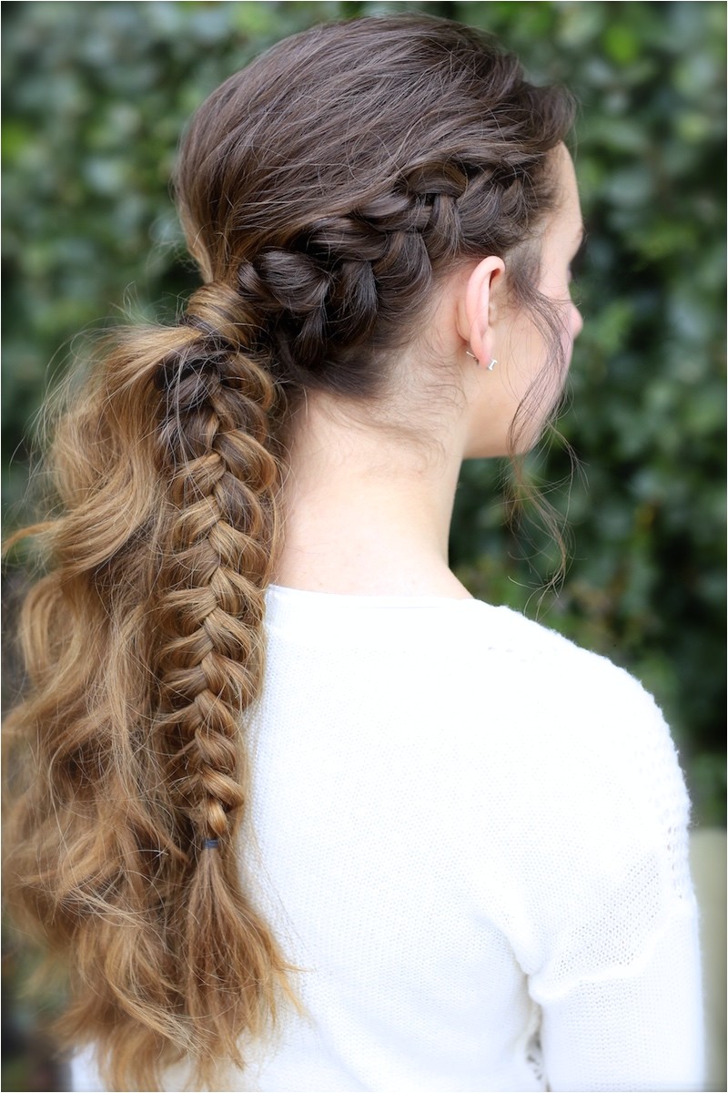 the viking braid ponytail