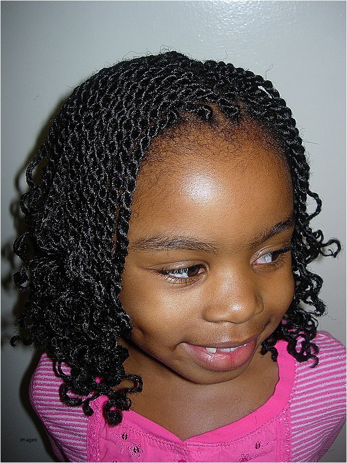 cute braided hairstyles for african americans