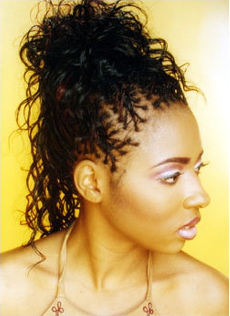 micro braids updo hairstyles