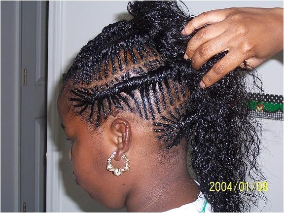 fishbone braids hairstyles pictures