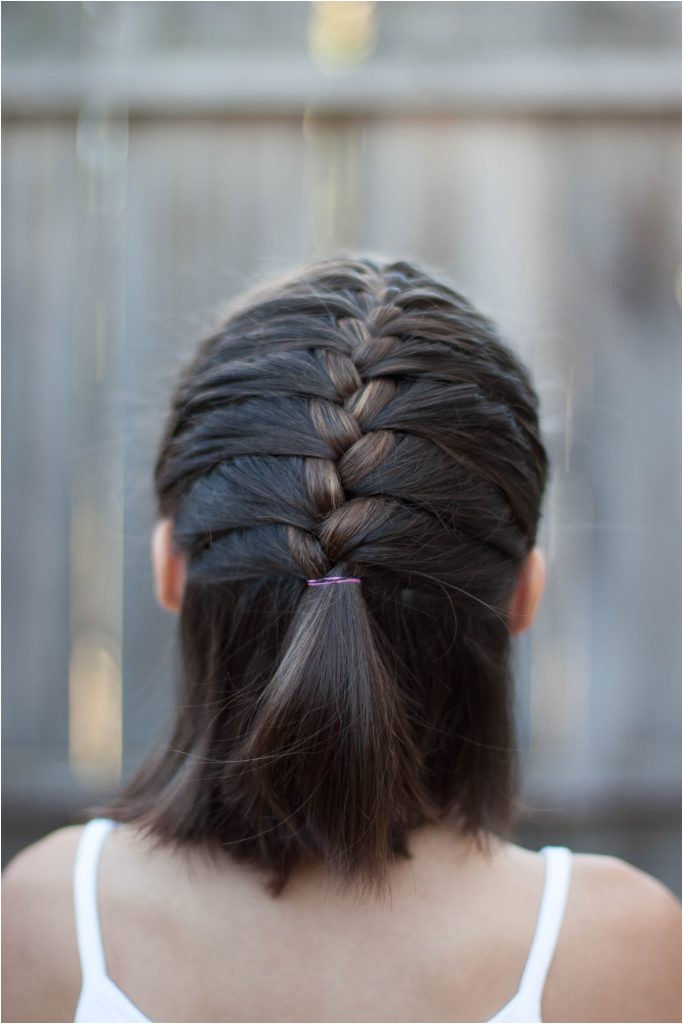 5 braids for short hair