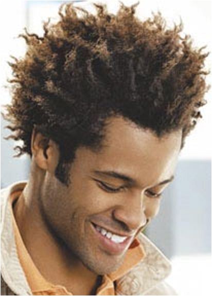 2014 creative curly hairstyles for black men