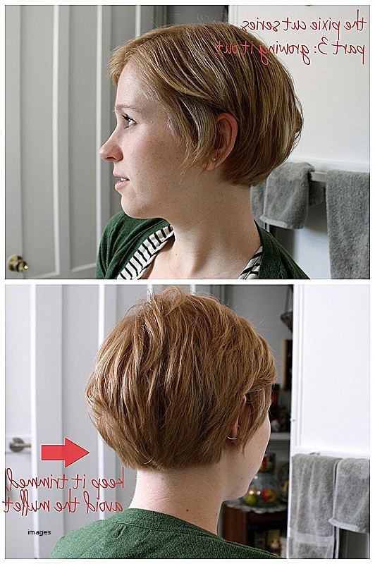 hairstyles for growing out bob