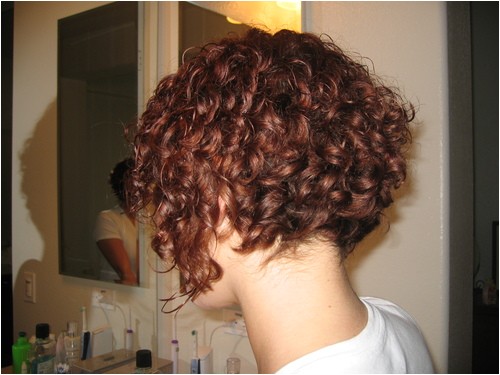best curly inverted bob hairstyles