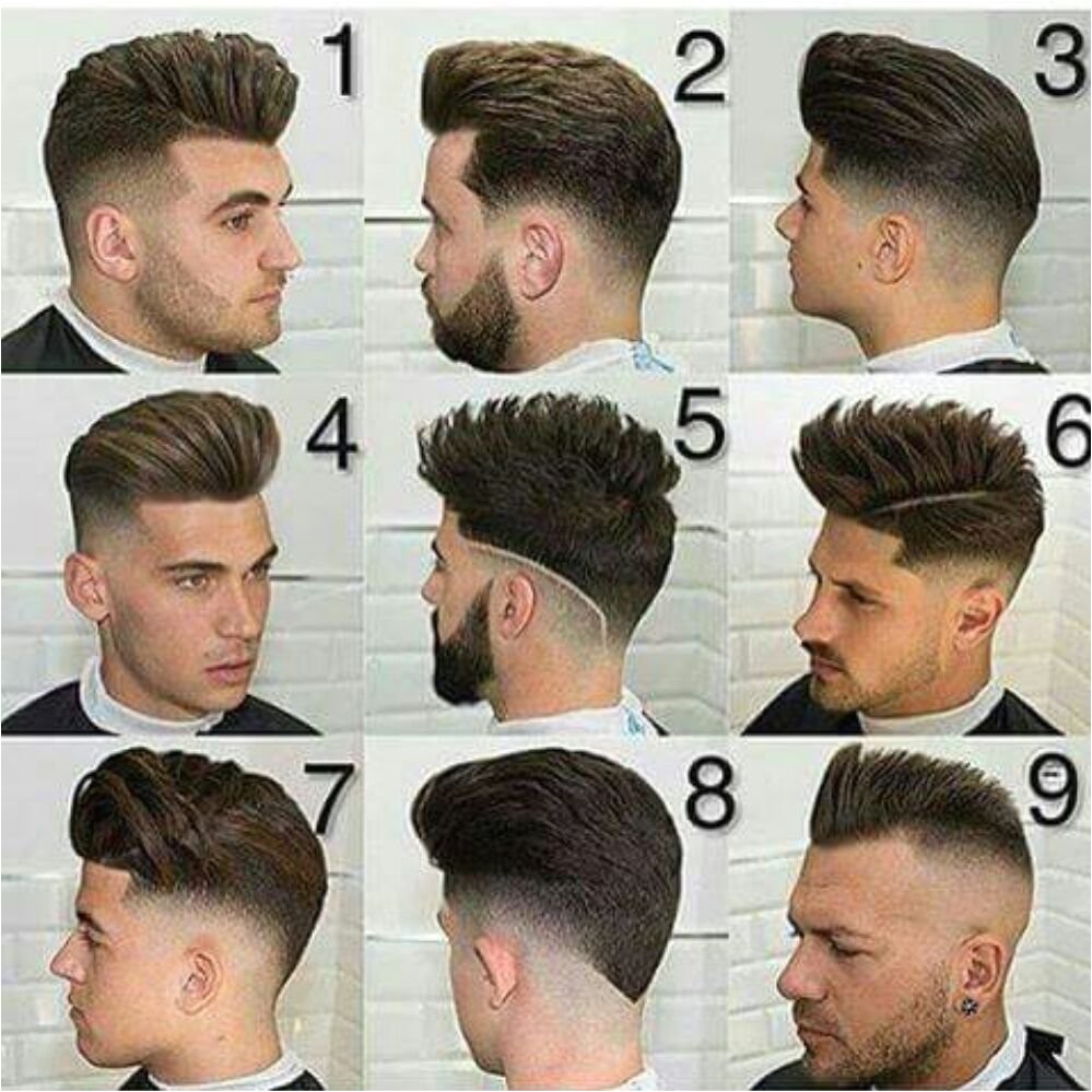 the salon guy haircut
