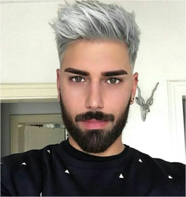 men mens hairstyles gray hair men long gray hairstyles short