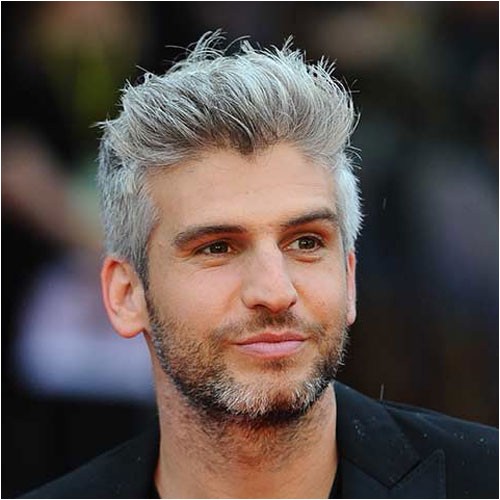 silver grey hair for men