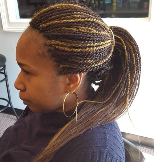 invisible braids micro twists