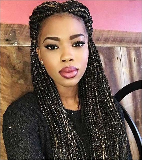 amazing micro braids hairstyles