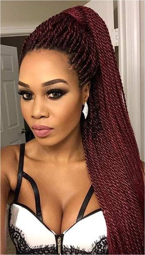 amazing micro braids hairstyles