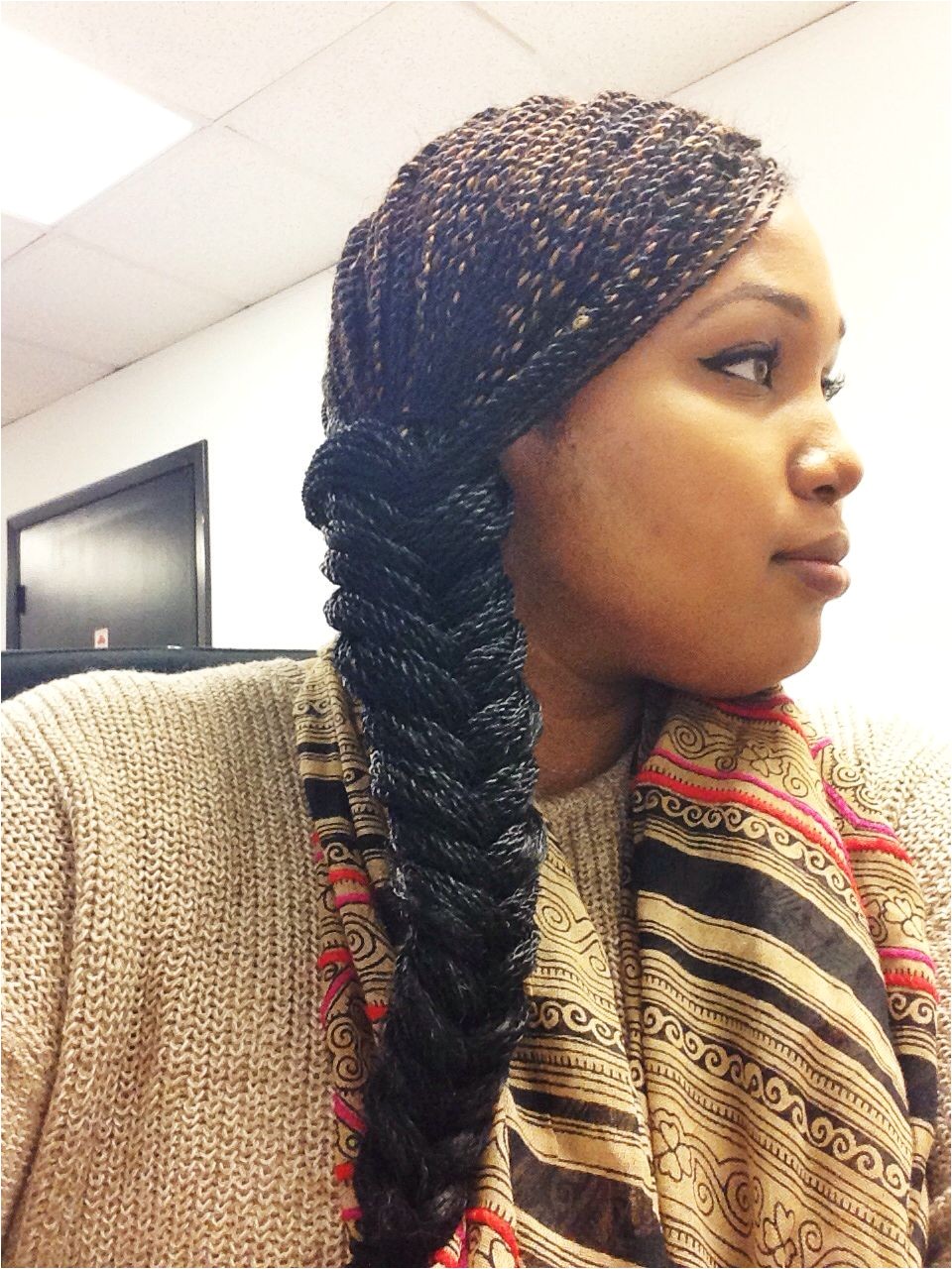 Senegalese Twists Fishtail braid Protective styles Micro twists