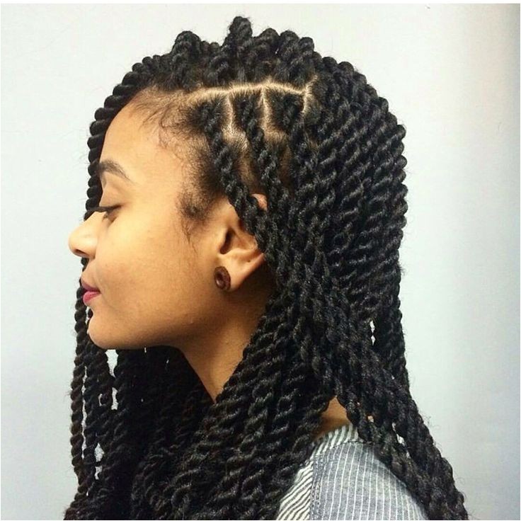 braids twist natural hair protective style