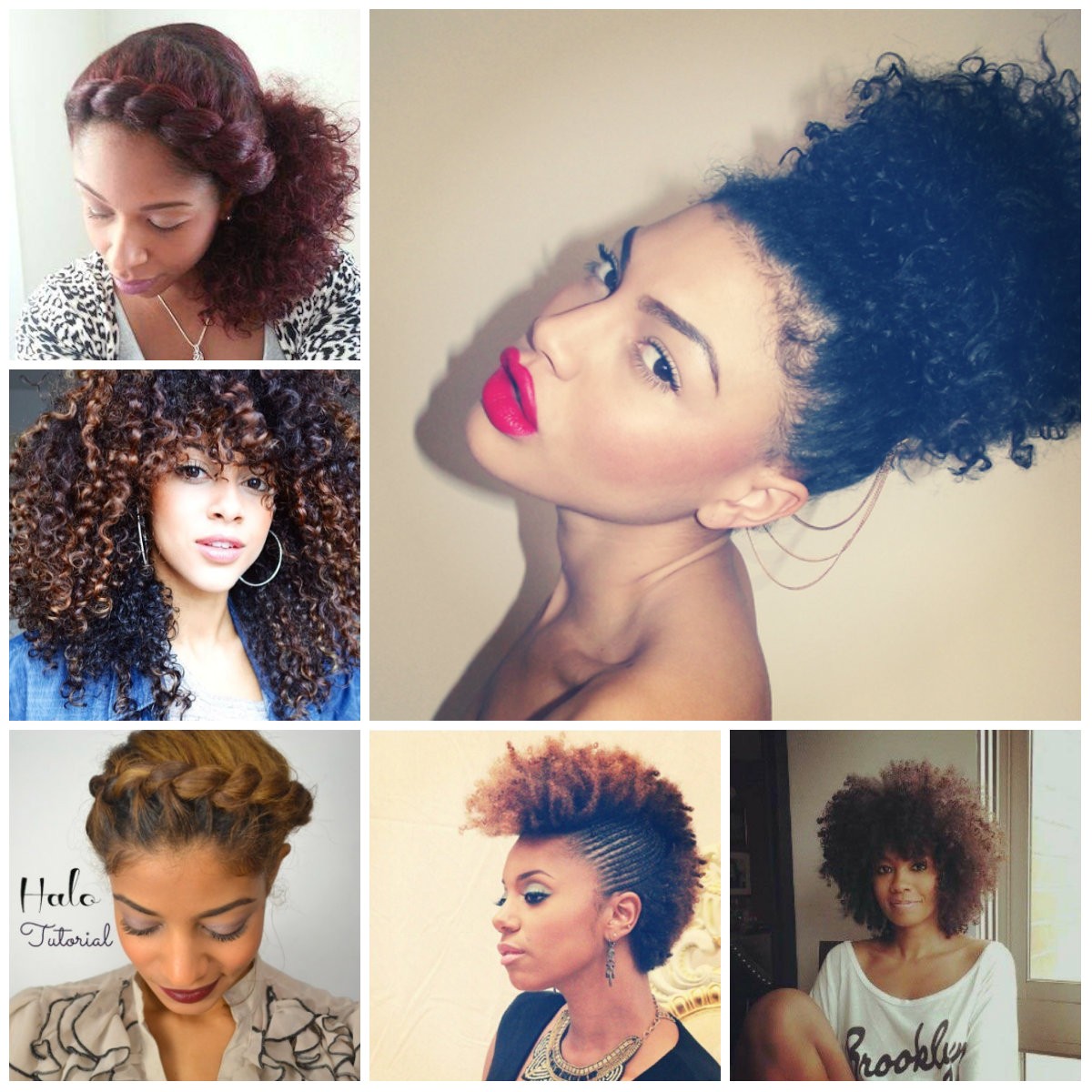 hairstyles you can do with short curly hair