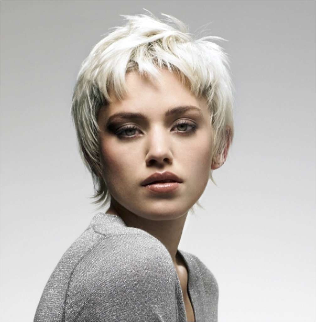 gray short hairstyles and haircuts for women 2017