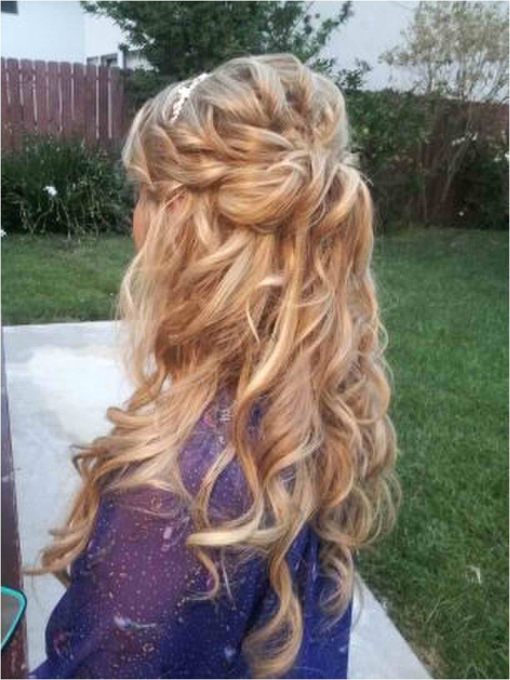 braided hairstyles curly hair
