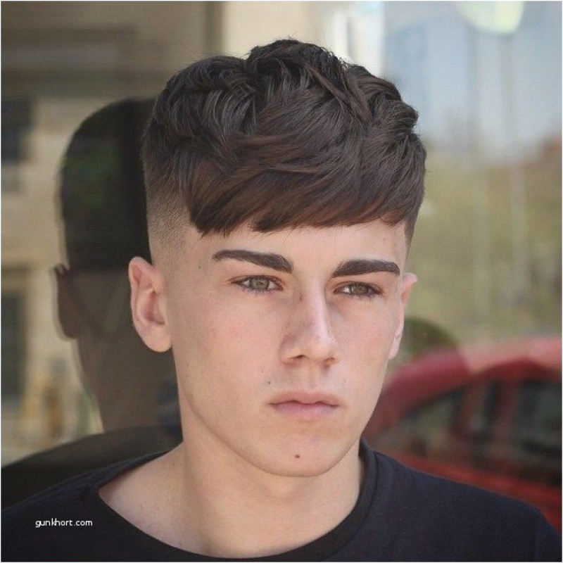 Best Stunning Top Hairstyles For Guys Beautiful Top Men Hairstyle 0d And Guy Hair Dye Artwork