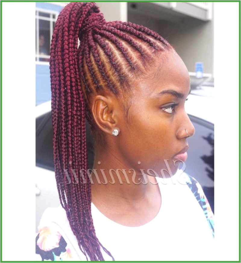 Hairstyles with Braids Best Big Braids Hairstyles Fresh Micro Hairstyles 0d Regrowhairproducts Black Braided Hair Styles Form Braid Hairstyles For Natural