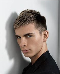 Hairstyles For Men Hairstyle Album Gallery