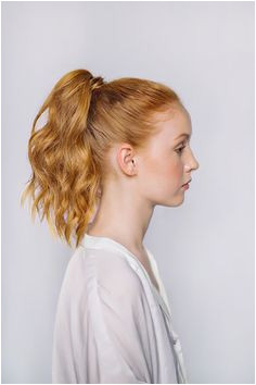 chic ponytail DIY