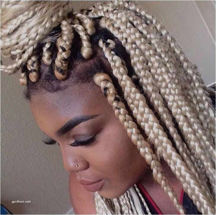Hairstyles with Braiding Hair Best Alluring Amusing New Braids Hairstyles Best Micro Hairstyles 0d