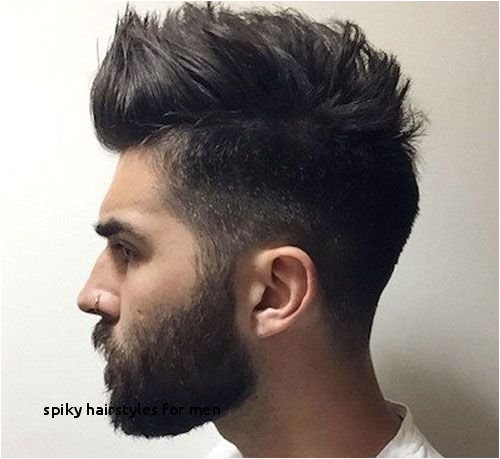 Famous Male Hair Stylists Elegant Spiky Hairstyles for Men Famous Hair Salon by Best Hairstyle Men