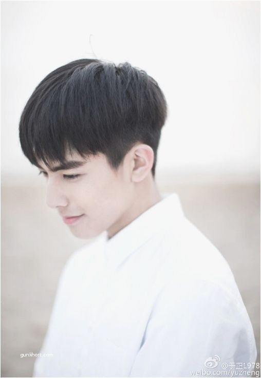 Best Haircut for asian Hair Awesome Ely Grey Hair Cutting In Respect Boys Korean Haircut Style