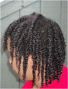 Hair Challenges Protective Styling on Fine Thin Natural Hair