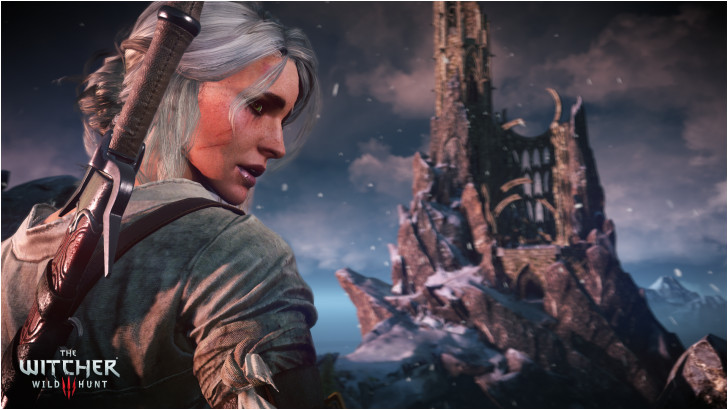 Download Ciri the Witcher 3 Wild Hunt HD Game Girl