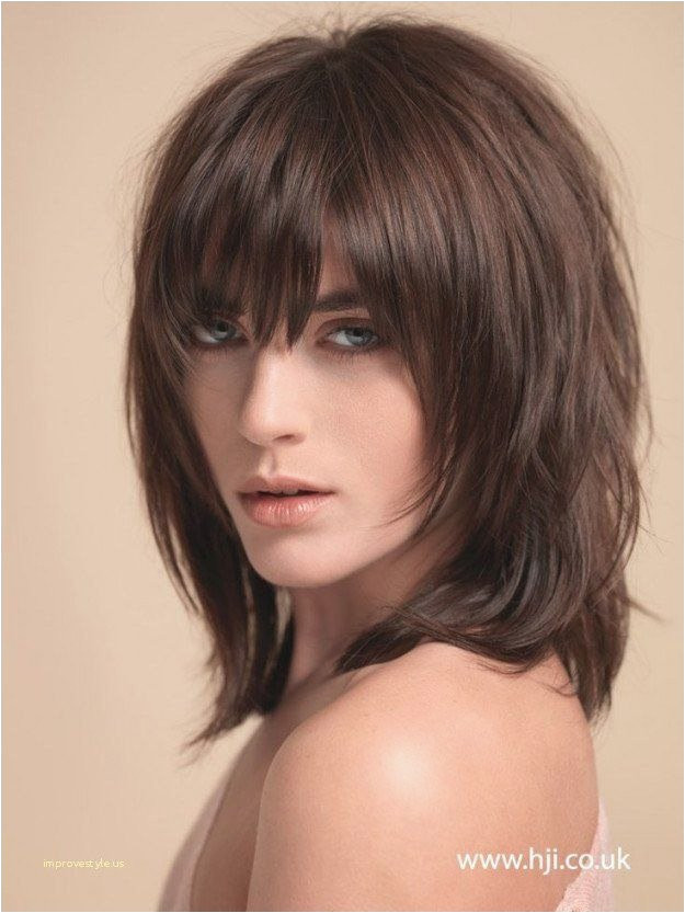 35 picture of hairstyles photo shaggy hairstyles 0d