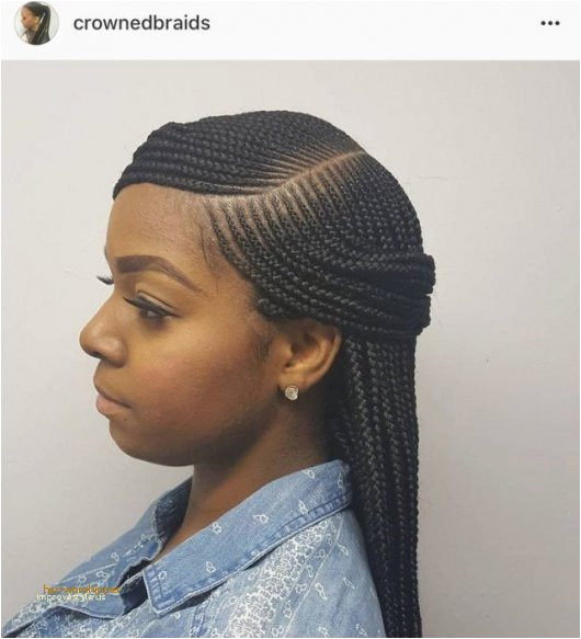 Creative Cute Hairstyles for Micro Braids