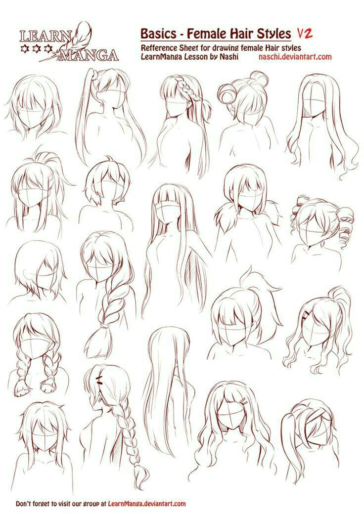 Basics Female Hairstyles text How to Draw Manga Anime More