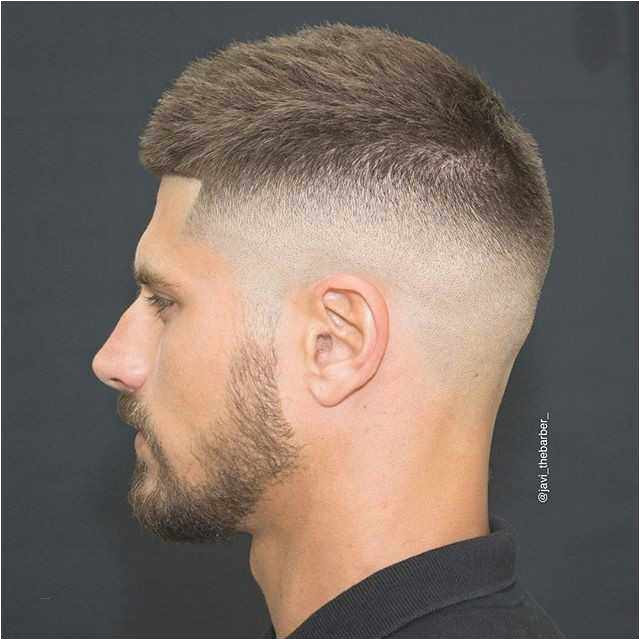 Short Hairstyle 2019 for Man Lovely 28 Trend Hairstyle Quiz Idea