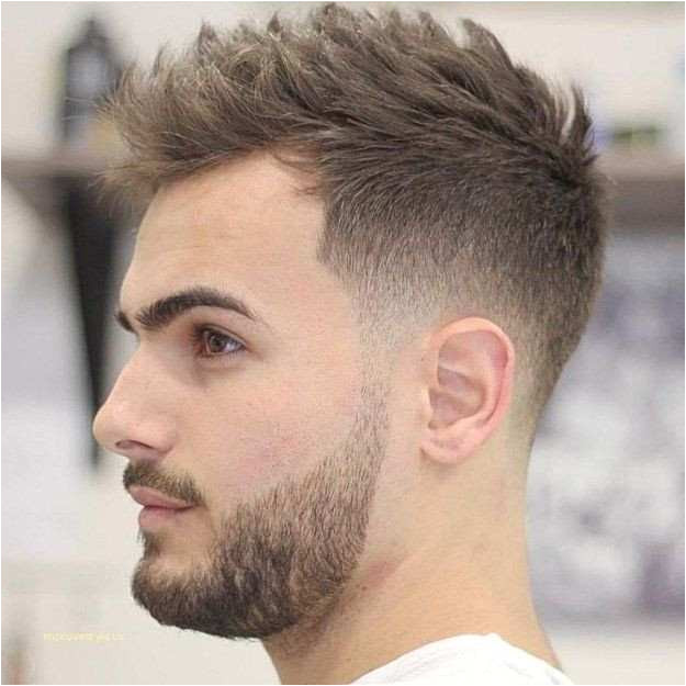 Hair Stylist Specials Awesome 23 Best Cool Male Hairstyles Ideas Hair Stylist Specials Fresh Cool