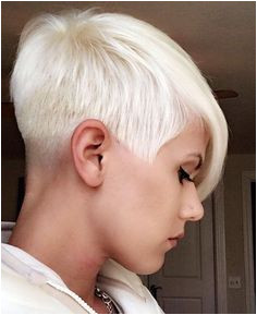 shorthair love on Instagram “Model w a n d e r l o s t Hair by hairsamurai Salon rendezvous hair salon undercut shorthair haircut hairstyle