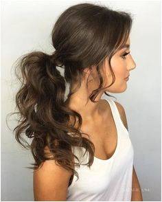 Summer Hairstyles Bouffant Ponytail For Long Hair