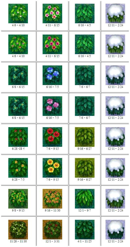 acnl flower guide