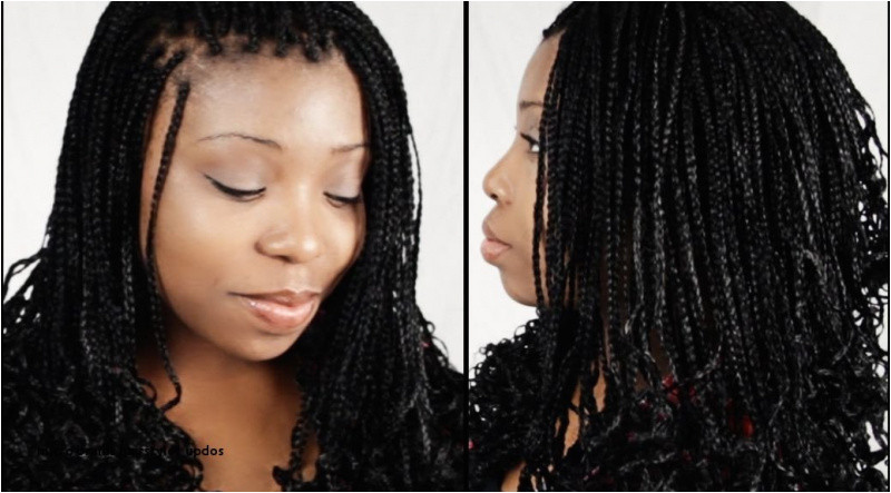 0d Hairstyle Micro Braids Hairstyles Updos Micro Braid Styles Plaits Hairstyles Black Lovely How to