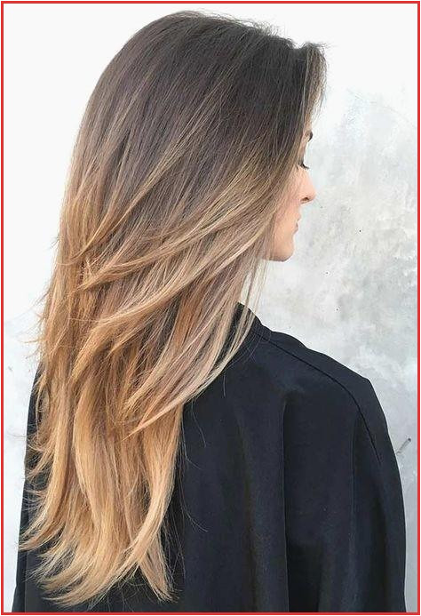 Hair Color Concepts Extraordinary Hair Color Including Haircuts For Layered Long Hair 0d