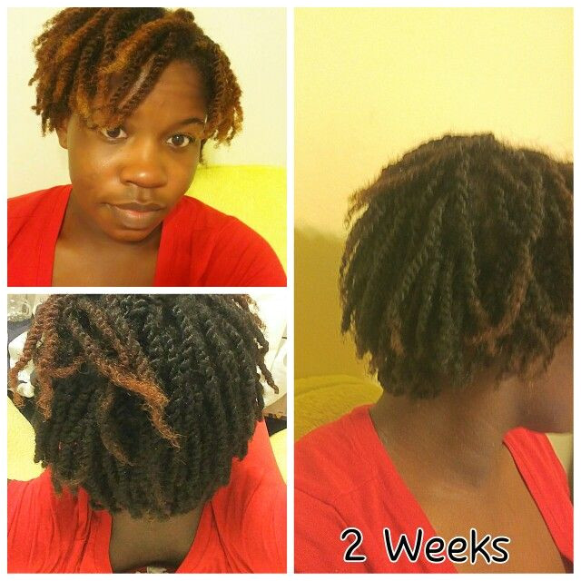 Starter locs 2 weeks