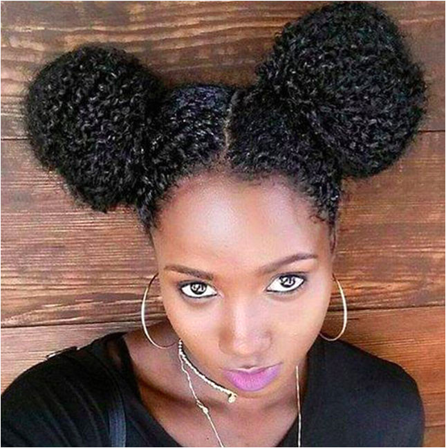 Two Buns Hairstyle Inspirational Hairstyles for Natural Hair Best I Pinimg 750x 36 E6 0d at